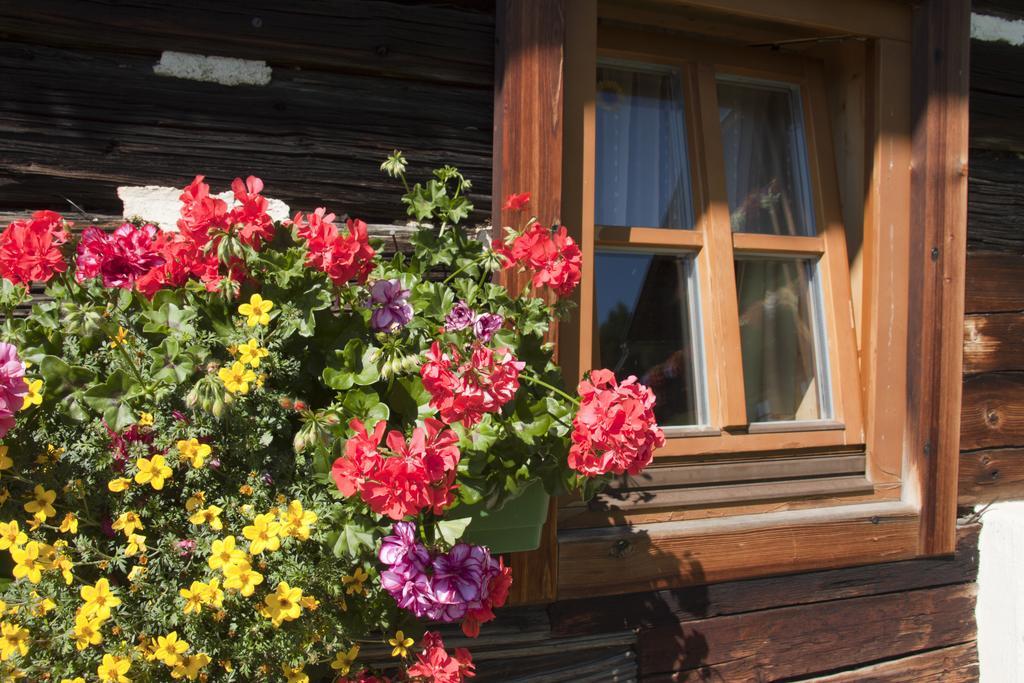 Schrunerhof Ebene Reichenau ห้อง รูปภาพ