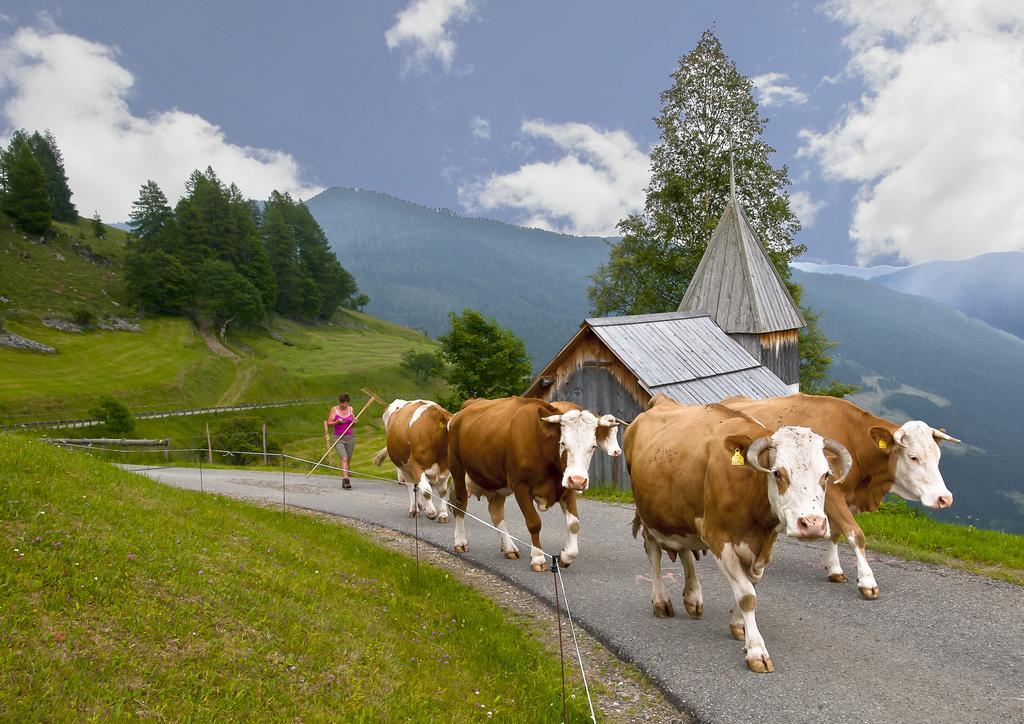 Schrunerhof Ebene Reichenau ห้อง รูปภาพ