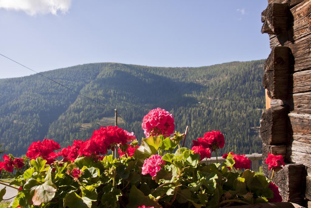 Schrunerhof Ebene Reichenau ห้อง รูปภาพ