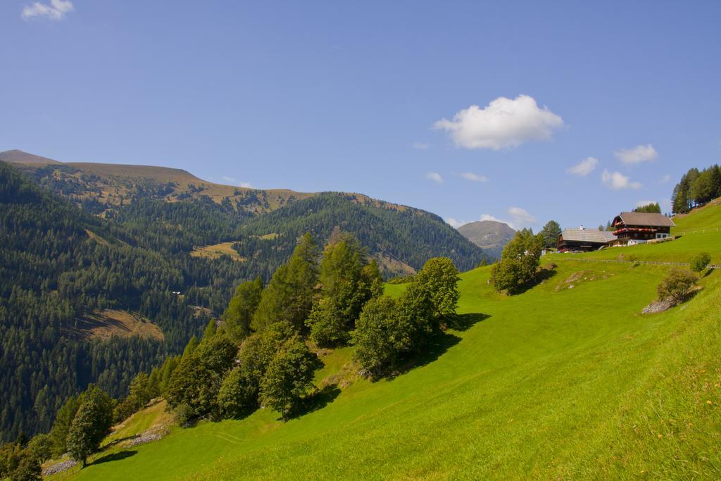 Schrunerhof Ebene Reichenau ห้อง รูปภาพ