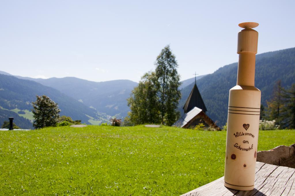 Schrunerhof Ebene Reichenau ห้อง รูปภาพ