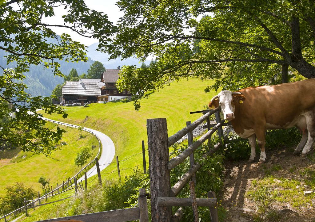 Schrunerhof Ebene Reichenau ภายนอก รูปภาพ