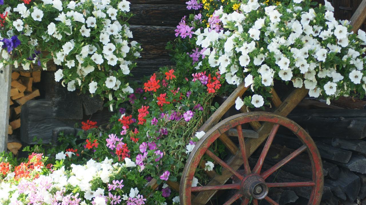 Schrunerhof Ebene Reichenau ภายนอก รูปภาพ